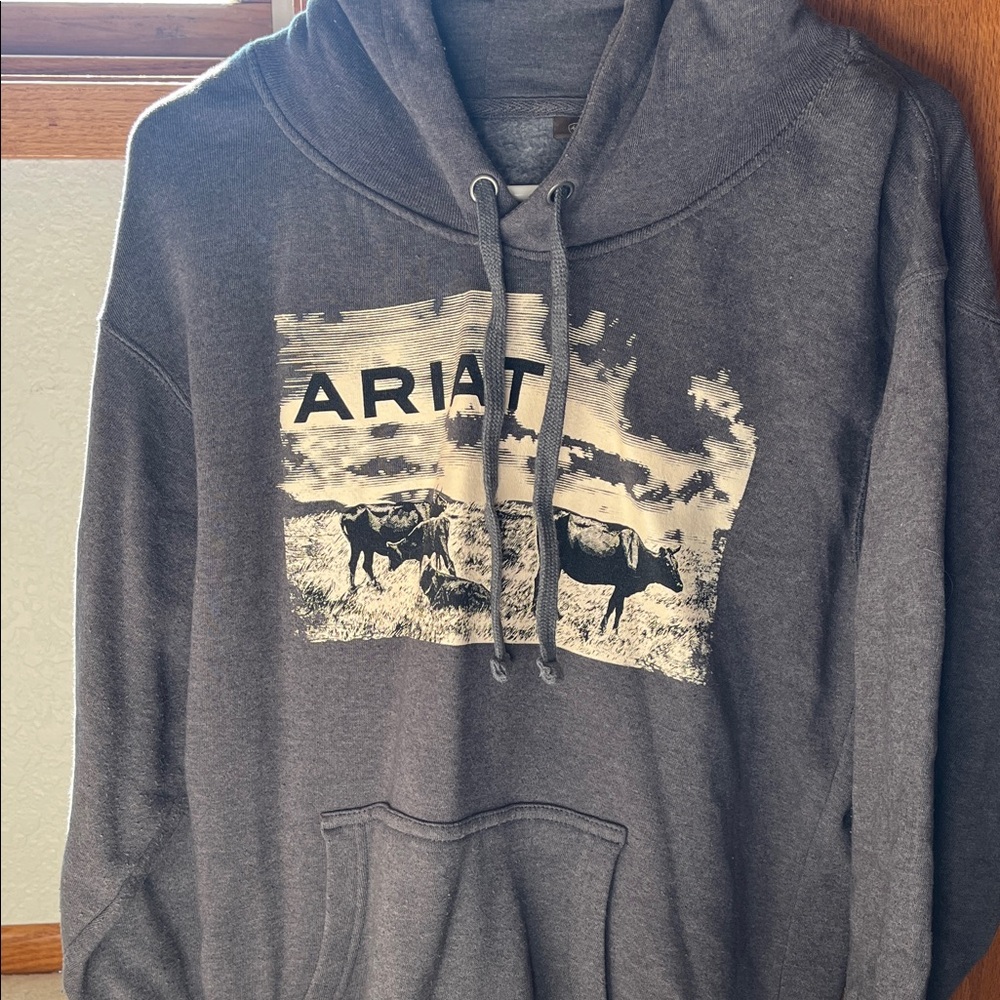 Ariat Charcoal Graphic Hoodie